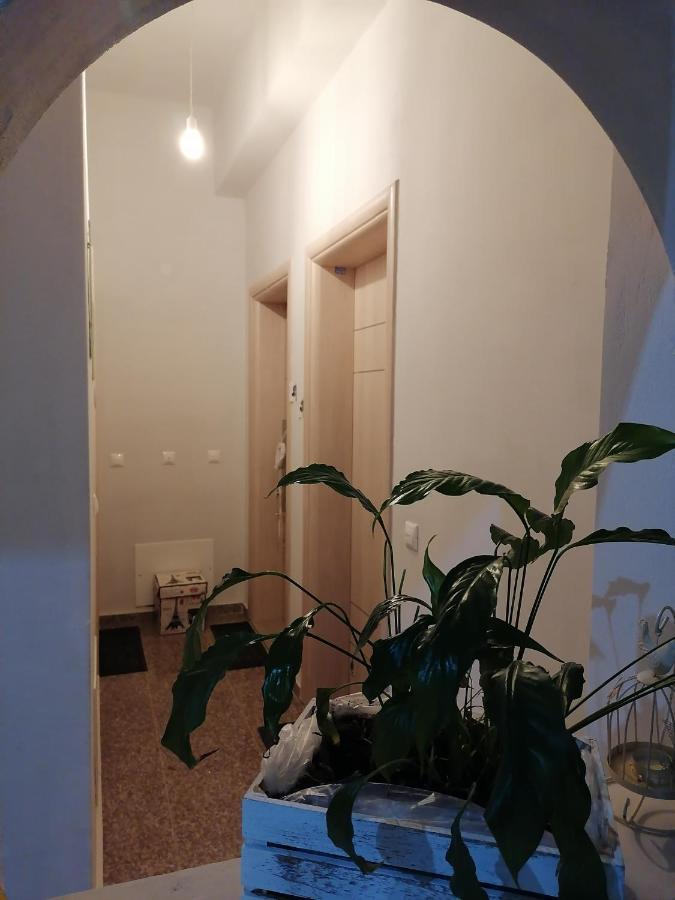 Eliora Studio & Aelia Apartment Kandiye Dış mekan fotoğraf